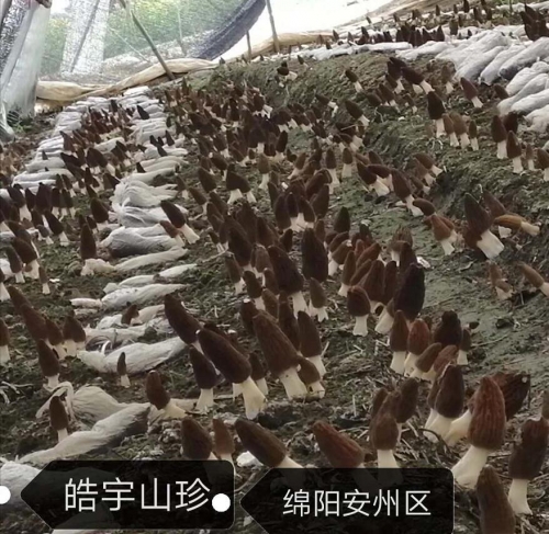 &#20061;&#28216;&#23448;&#26041;&#32593;&#39029;&#29256;&#45;&#20061;&#28216;&#40;&#20013;&#22269;&#41;