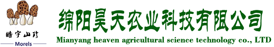 &#20061;&#28216;&#23448;&#26041;&#32593;&#39029;&#29256;&#45;&#20061;&#28216;&#40;&#20013;&#22269;&#41;