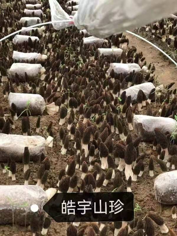 &#20061;&#28216;&#23448;&#26041;&#32593;&#39029;&#29256;&#45;&#20061;&#28216;&#40;&#20013;&#22269;&#41;