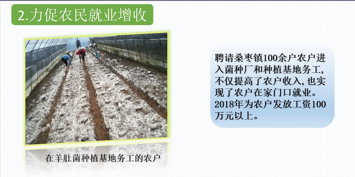 &#20061;&#28216;&#23448;&#26041;&#32593;&#39029;&#29256;&#45;&#20061;&#28216;&#40;&#20013;&#22269;&#41;
